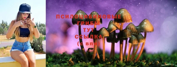 гашиш Рославль