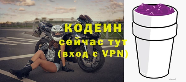 стафф Россошь