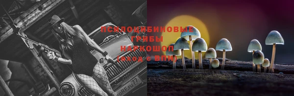 стафф Россошь