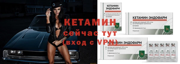 амф Гатчина