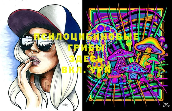 PSILOCYBIN Ростов