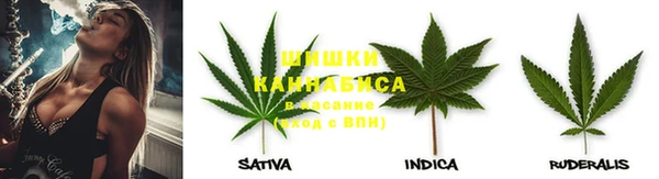 PSILOCYBIN Ростов
