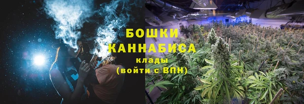 амф Гатчина