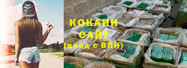PSILOCYBIN Ростов