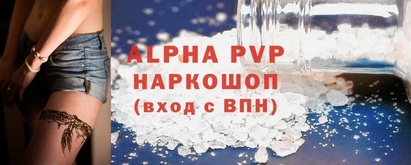 PSILOCYBIN Ростов